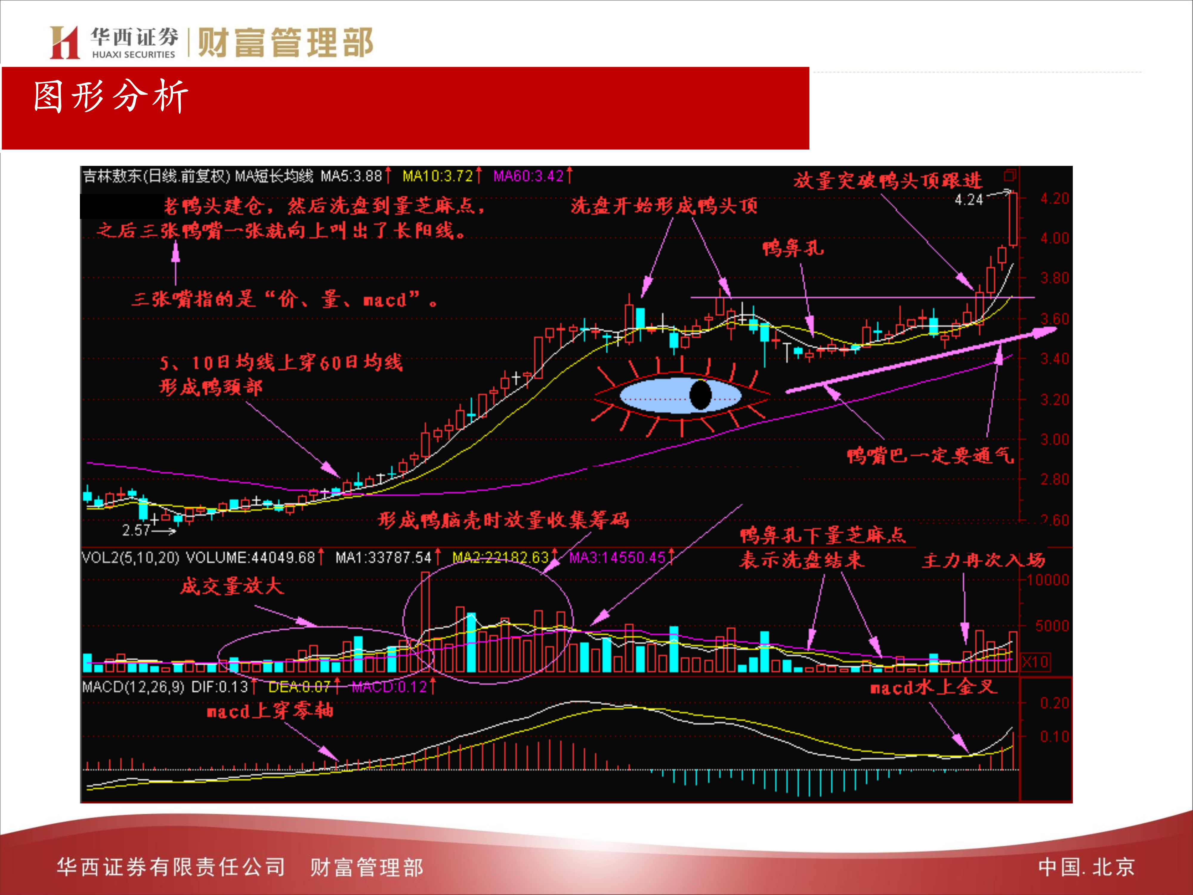 081910330760_0技术指标老鸭头_3.png